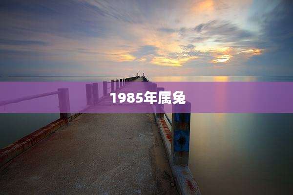 1985年属兔