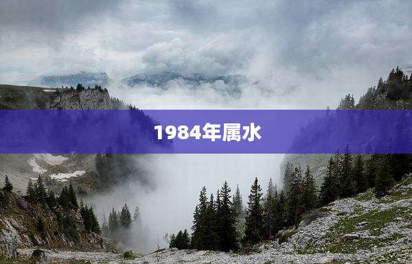 1984年属水