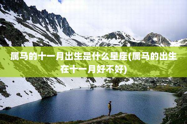 属马的十一月出生是什么星座(属马的出生在十一月好不好)
