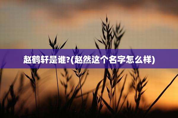 赵鹤轩是谁?(赵然这个名字怎么样)