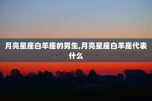 月亮星座白羊座的男生,月亮星座白羊座代表什么