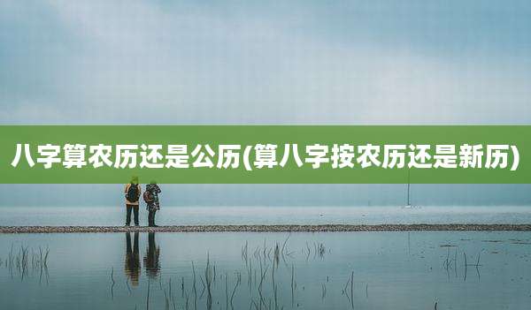 八字算农历还是公历(算八字按农历还是新历)