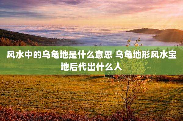 风水中的乌龟地是什么意思 乌龟地形风水宝地后代出什么人