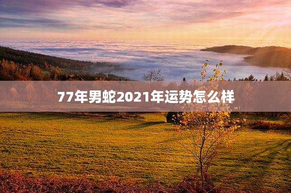 77年男蛇2021年运势怎么样