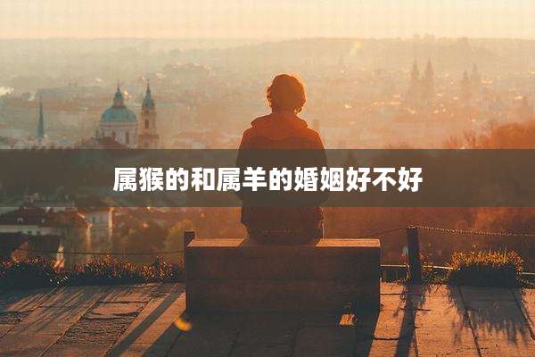 属猴的和属羊的婚姻好不好