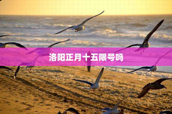 洛阳正月十五限号吗