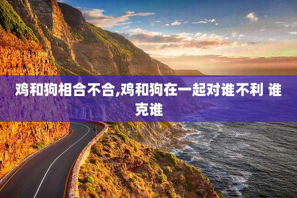 鸡和狗相合不合,鸡和狗在一起对谁不利 谁克谁