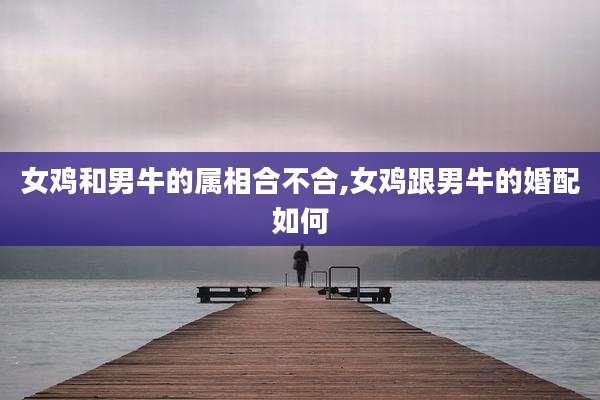 女鸡和男牛的属相合不合,女鸡跟男牛的婚配如何