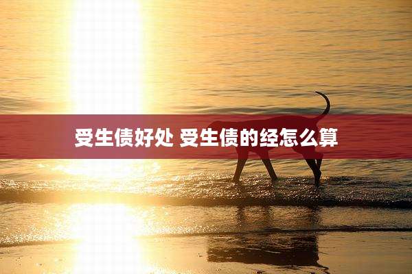 受生债好处 受生债的经怎么算