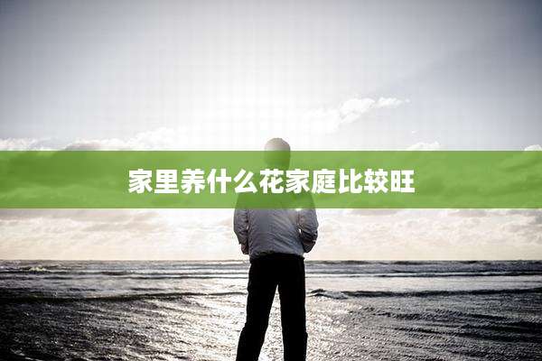 家里养什么花家庭比较旺