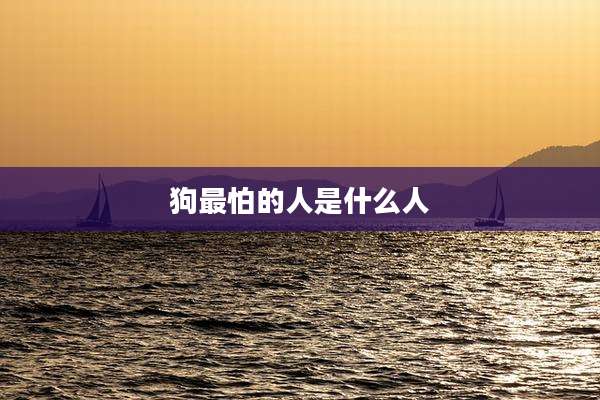 狗最怕的人是什么人
