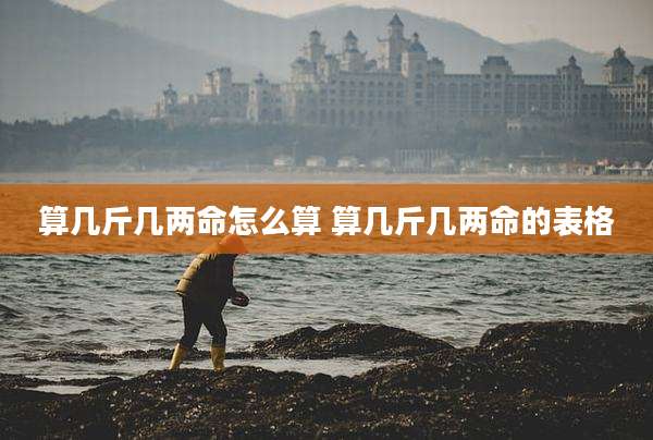 算几斤几两命怎么算 算几斤几两命的表格