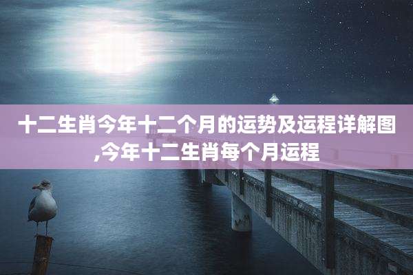 十二生肖今年十二个月的运势及运程详解图,今年十二生肖每个月运程