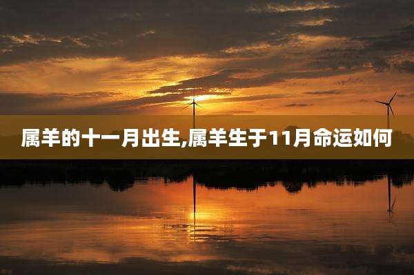 属羊的十一月出生,属羊生于11月命运如何