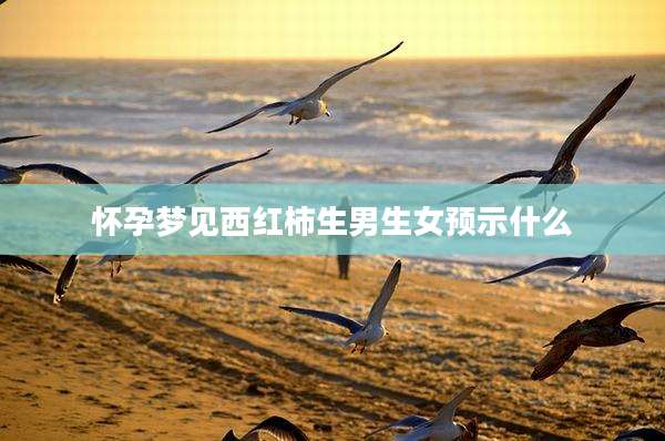 怀孕梦见西红柿生男生女预示什么