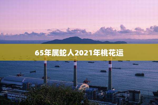 65年属蛇人2021年桃花运