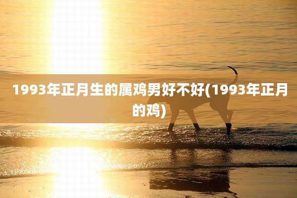 1993年正月生的属鸡男好不好(1993年正月的鸡)