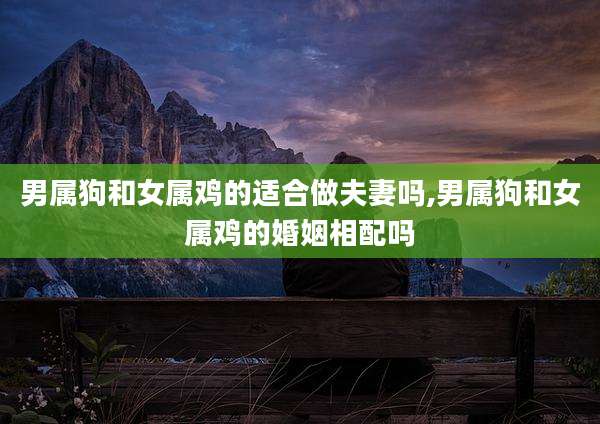 男属狗和女属鸡的适合做夫妻吗,男属狗和女属鸡的婚姻相配吗