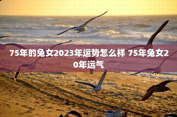 75年的兔女2023年运势怎么样 75年兔女20年运气
