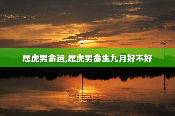 属虎男命运,属虎男命生九月好不好
