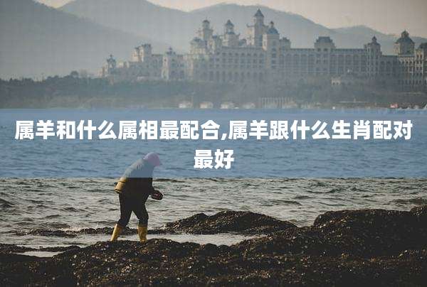 属羊和什么属相最配合,属羊跟什么生肖配对最好