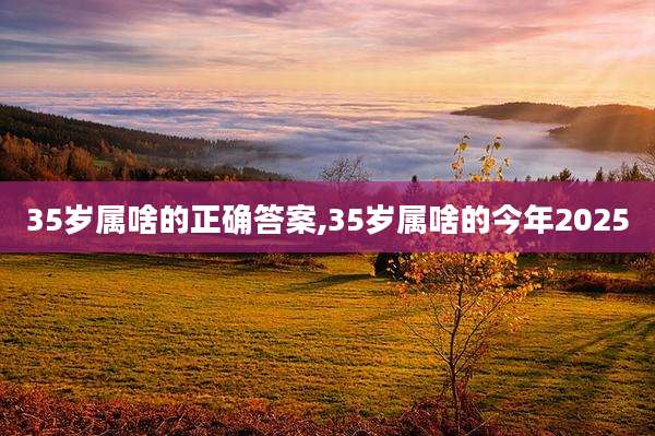 35岁属啥的正确答案,35岁属啥的今年2025