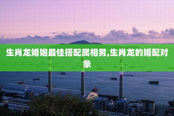 生肖龙婚姻最佳搭配属相男,生肖龙的婚配对象