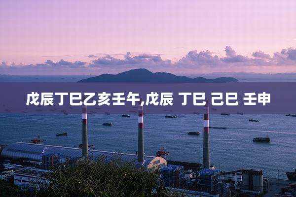 戊辰丁巳乙亥壬午,戊辰 丁巳 己巳 壬申