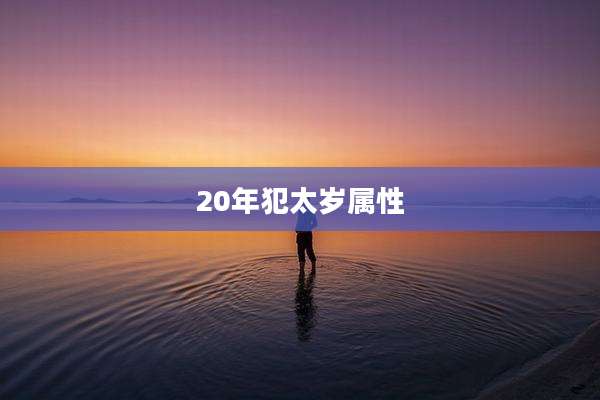 20年犯太岁属性