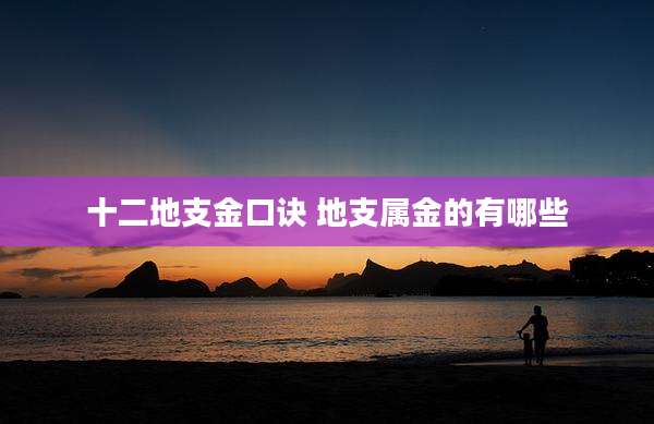 十二地支金口诀 地支属金的有哪些