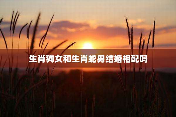 生肖狗女和生肖蛇男结婚相配吗
