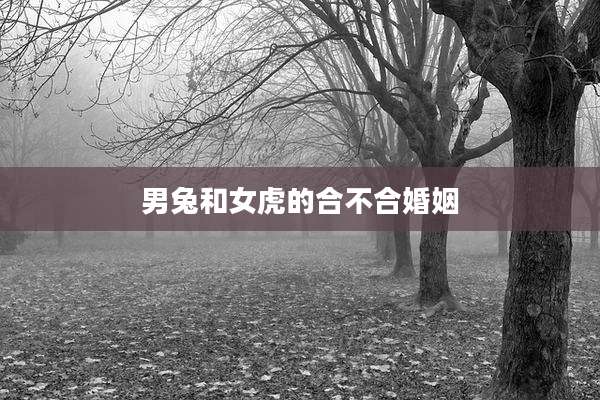 男兔和女虎的合不合婚姻