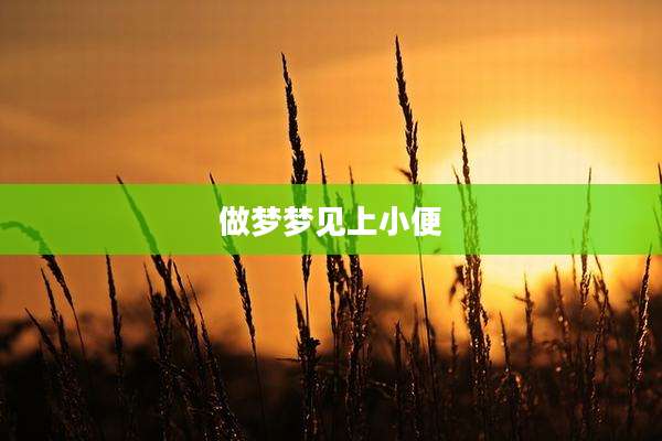 做梦梦见上小便