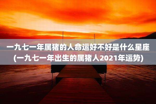 一九七一年属猪的人命运好不好是什么星座(一九七一年出生的属猪人2021年运势)