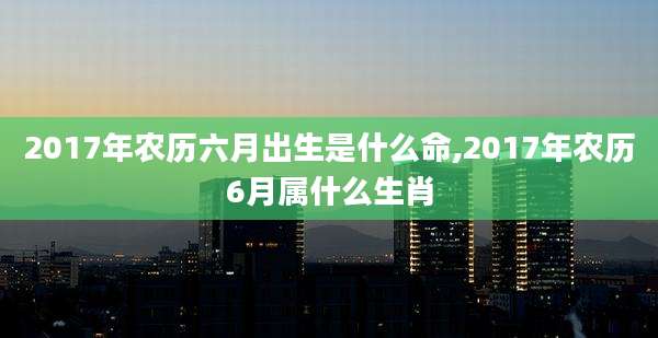 2017年农历六月出生是什么命,2017年农历6月属什么生肖