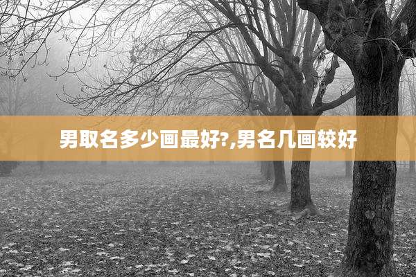 男取名多少画最好?,男名几画较好