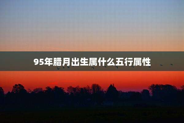 95年腊月出生属什么五行属性
