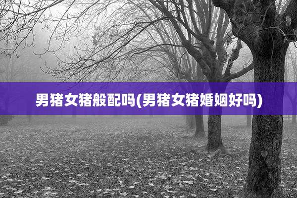 男猪女猪般配吗(男猪女猪婚姻好吗)