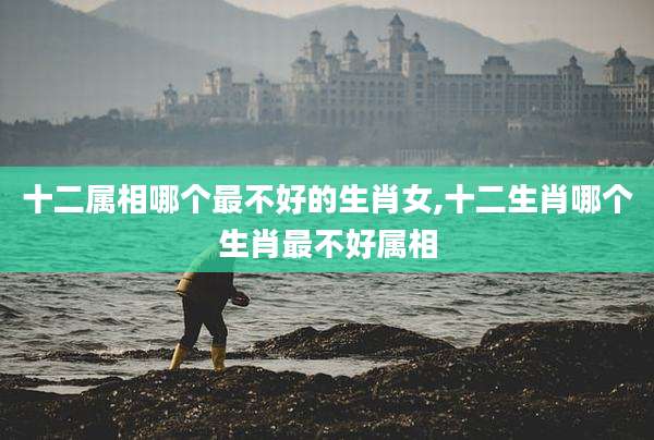 十二属相哪个最不好的生肖女,十二生肖哪个生肖最不好属相