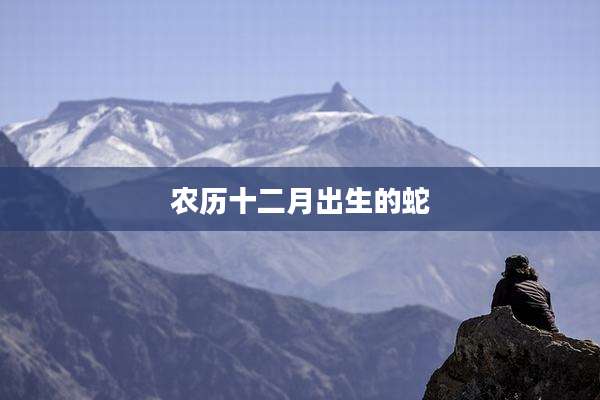 农历十二月出生的蛇