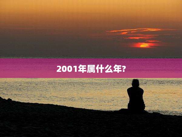 2001年属什么年?