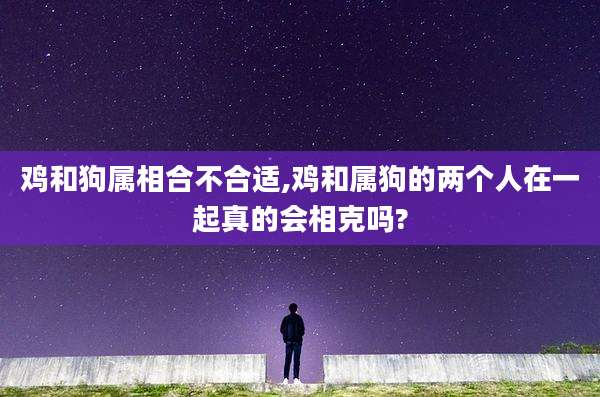 鸡和狗属相合不合适,鸡和属狗的两个人在一起真的会相克吗?