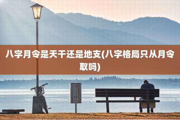 八字月令是天干还是地支(八字格局只从月令取吗)
