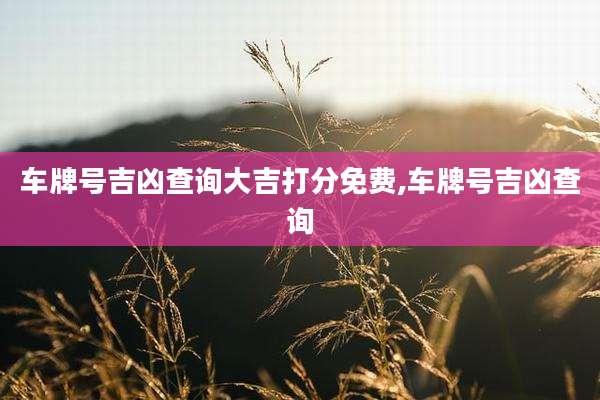 车牌号吉凶查询大吉打分免费,车牌号吉凶查询
