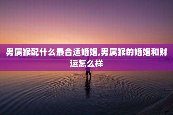男属猴配什么最合适婚姻,男属猴的婚姻和财运怎么样