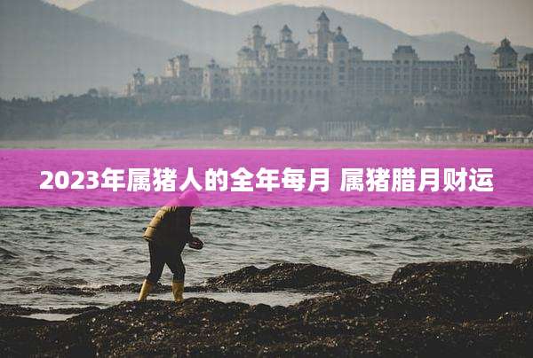 2023年属猪人的全年每月 属猪腊月财运