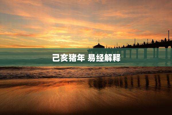 己亥猪年 易经解释