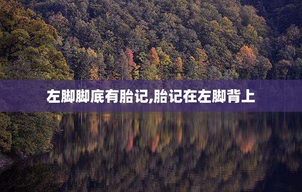 左脚脚底有胎记,胎记在左脚背上