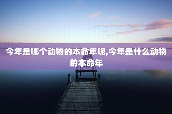 今年是哪个动物的本命年呢,今年是什么动物的本命年