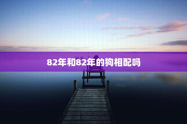 82年和82年的狗相配吗